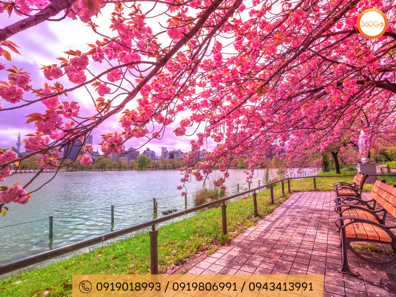 Công Viên Ueno - Tokyo - Du lịch 360Go 